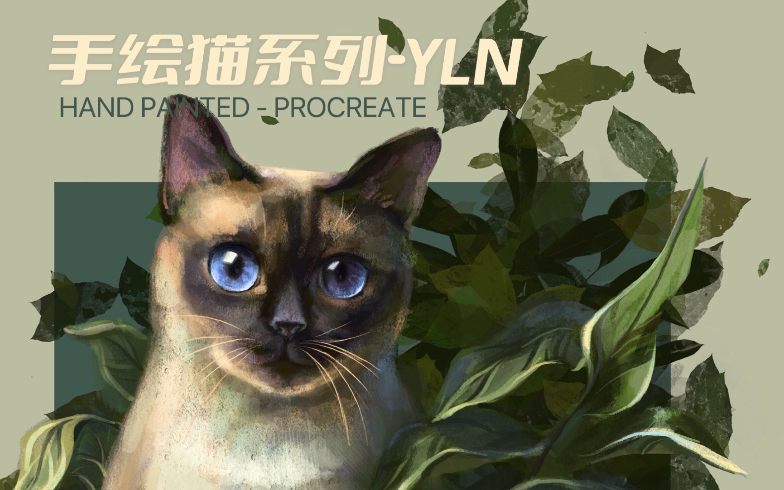 YLN手绘猫系列~Day9哔哩哔哩bilibili