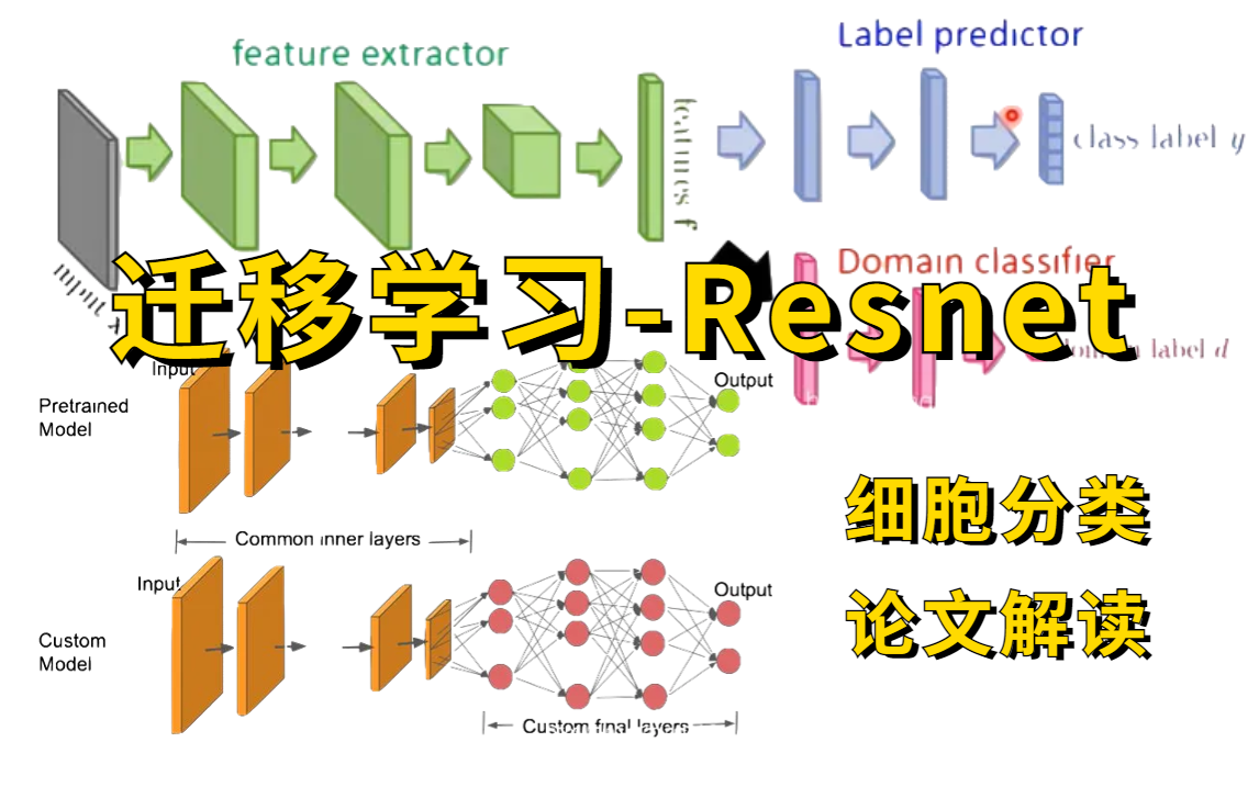 【2022B站最好的迁移学习课程推荐】迁移学习原理详解+项目实战Resnet实战细胞分类任务, pytorch|深度学习|人工智能|keras框架哔哩哔哩bilibili