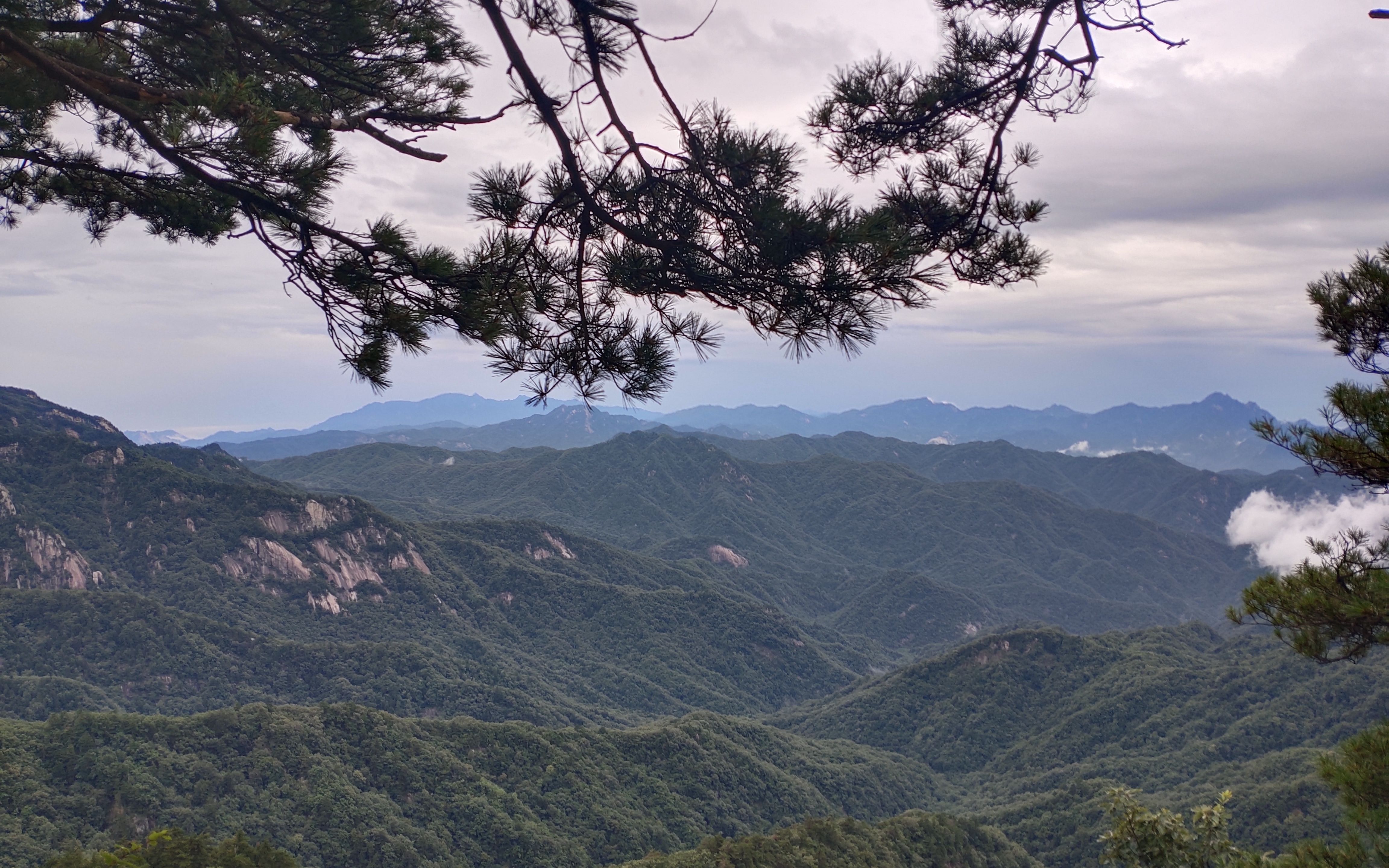 南阳宝天曼进山影像