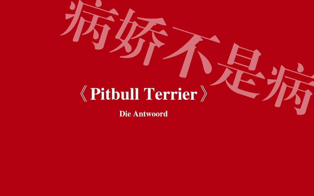 [图]病娇出没！DT导师罗俊编舞《Pitbull Terrier》危险的诱惑~