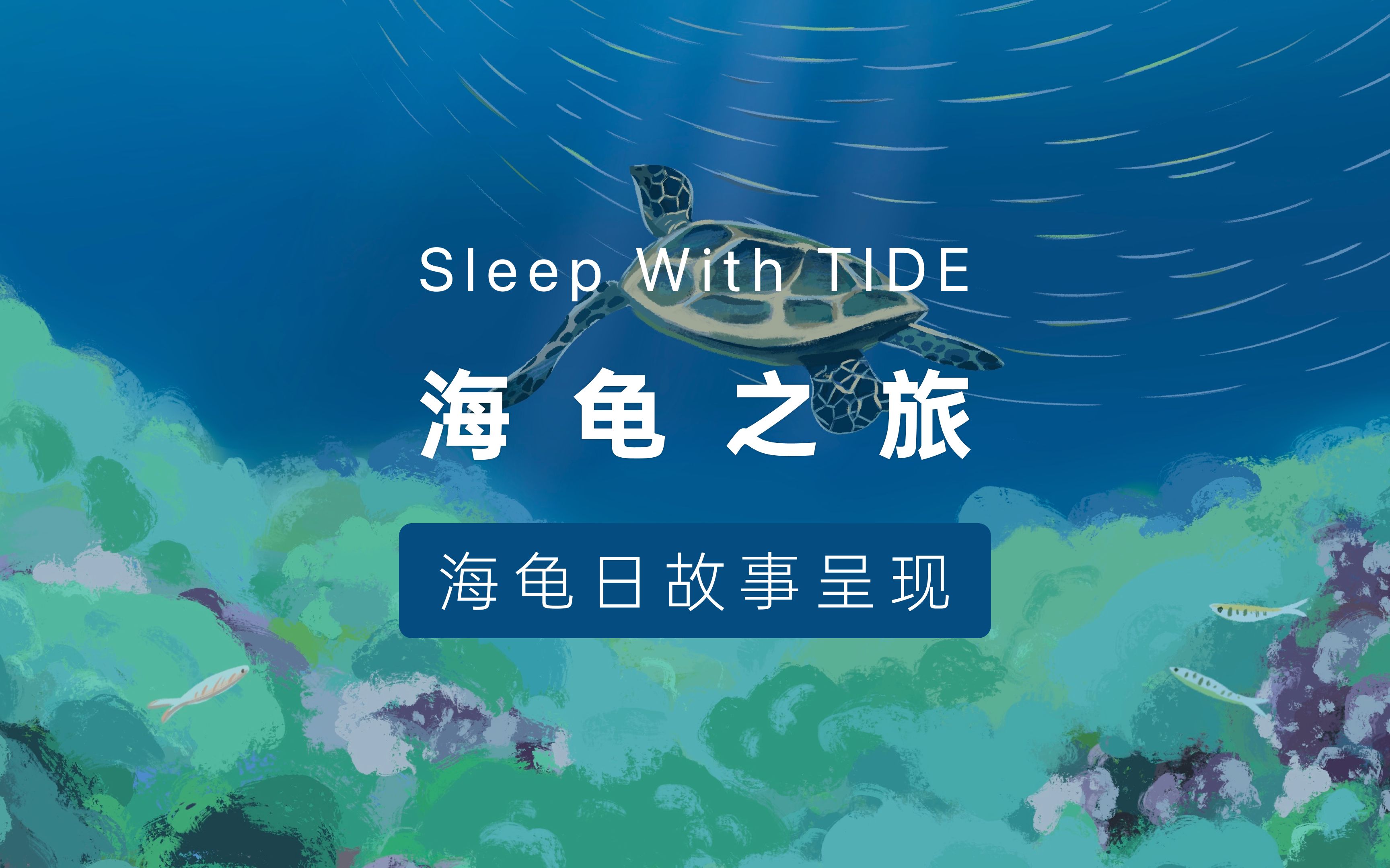 睡眠故事|世界海龟日𐟌Š探索海龟的生命之旅哔哩哔哩bilibili