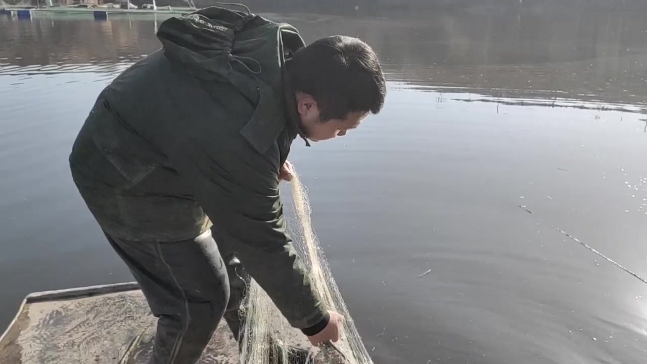 水库下网,竟然抓到罕见的野生三道鳞,外表像鲤鱼,却没有鱼鳞!哔哩哔哩bilibili