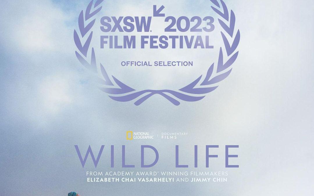 狂野人生 Wild Life.2023.2160p.4K哔哩哔哩bilibili