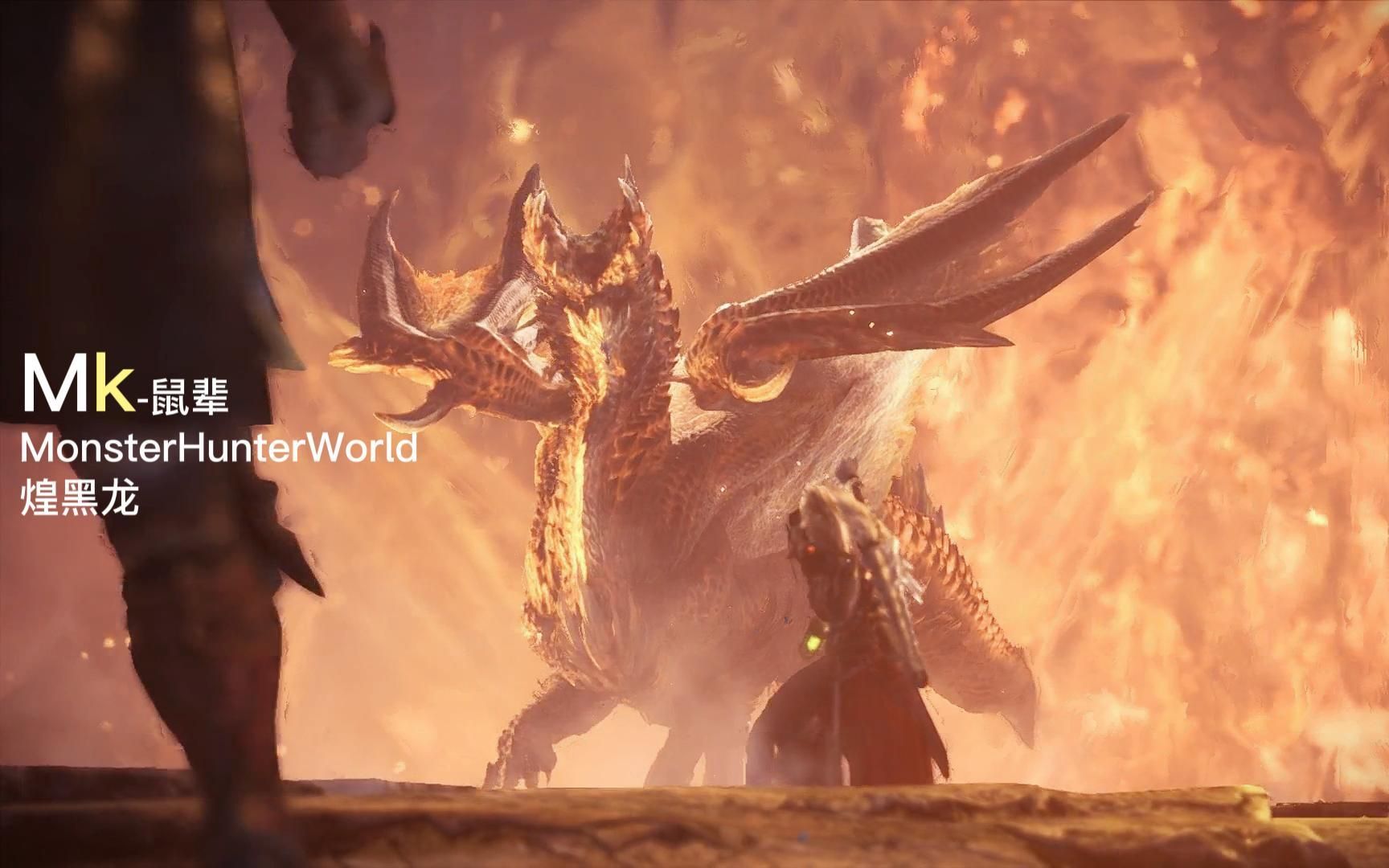mk-monsterhunterworld-煌黑龙