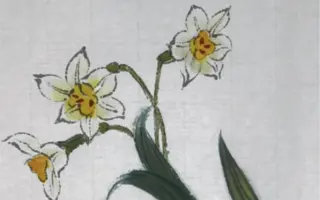 水仙花的画法 哔哩哔哩 Bilibili