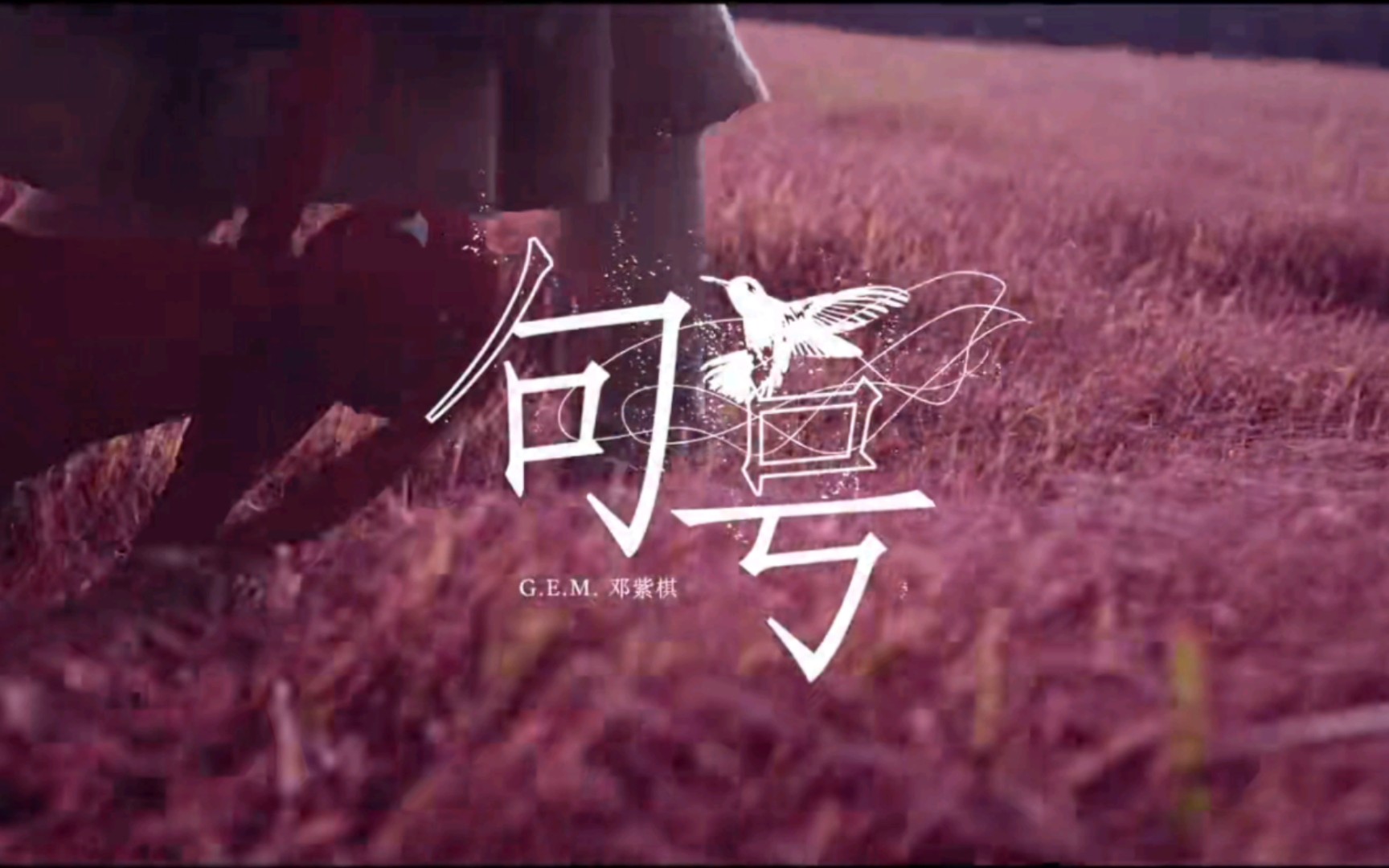 e.m 邓紫棋《句号》官方蓝光mv