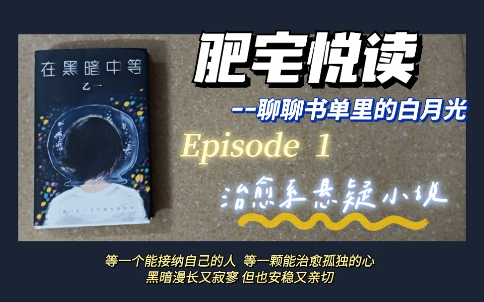 肥宅悦读 | Episode 1 治愈系悬疑小说——《在黑暗中等》哔哩哔哩bilibili