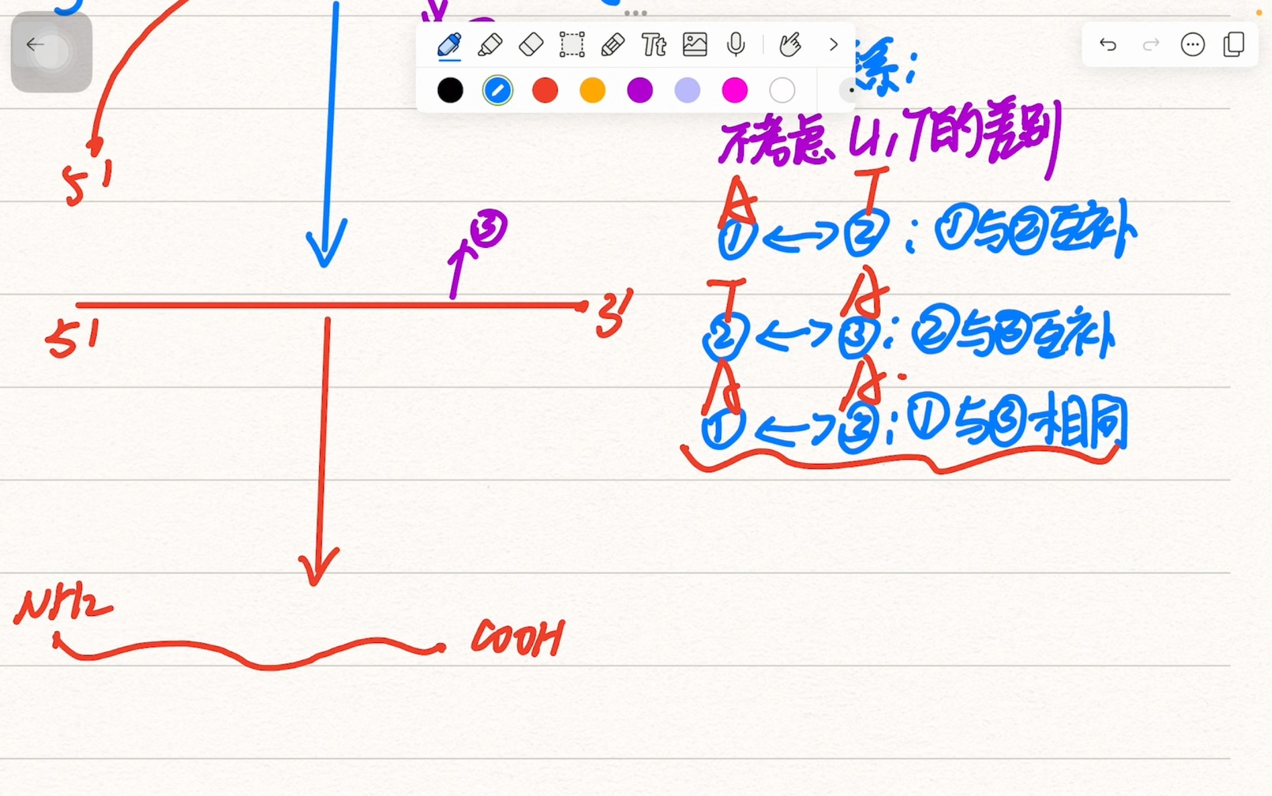 高中生物编码链,模版链,正RNA负RNA,前导链后随链,辨析哔哩哔哩bilibili