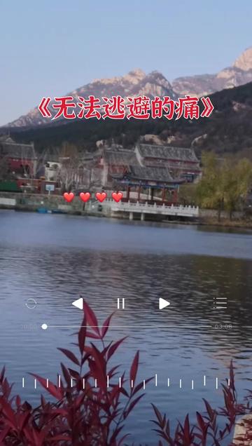 无法逃避的痛#情感音乐