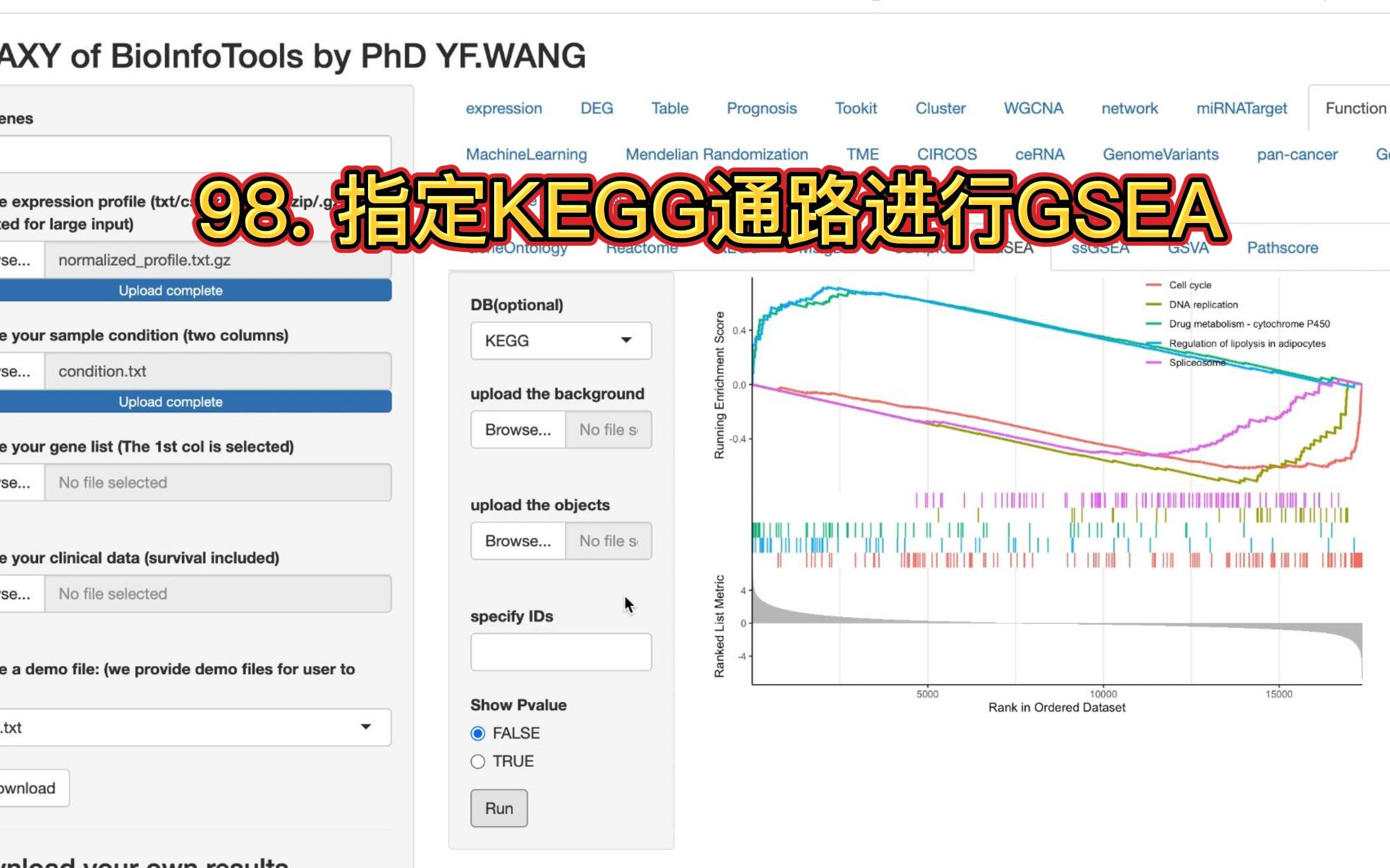 98. 指定KEGG通路进行GSEA分析哔哩哔哩bilibili