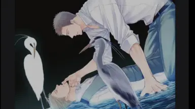 囀る鳥-哔哩哔哩_Bilibili 囀る鳥-哔哩哔哩_Bilibili