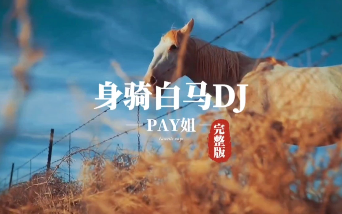 [图]pay姐DJ《身骑白马》无损高清完整版，潮音铭帝编曲全网热歌推荐