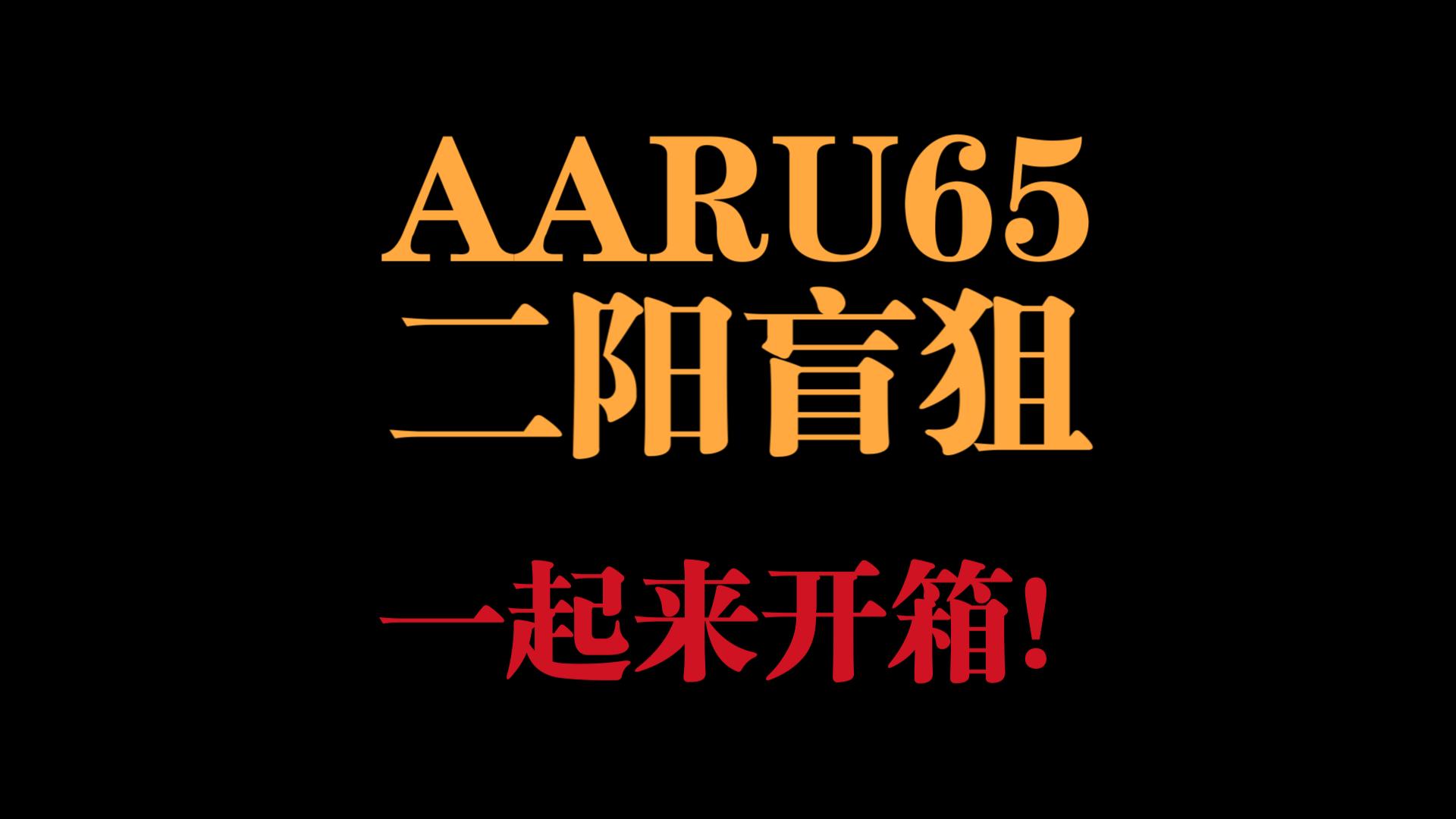 AARU65二氧盲狙开箱评测哔哩哔哩bilibili