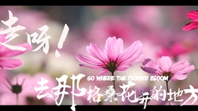 格桑花开 韩红 哔哩哔哩 つロ干杯 Bilibili