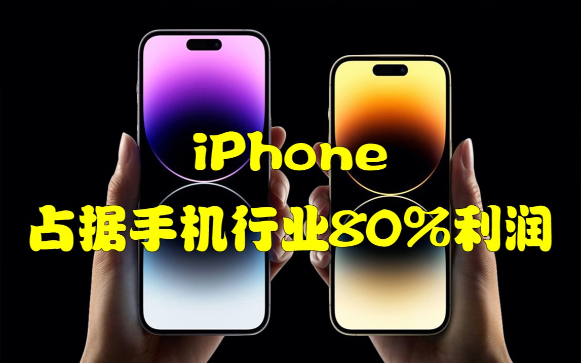 iPhone占据手机行业80%利润哔哩哔哩bilibili