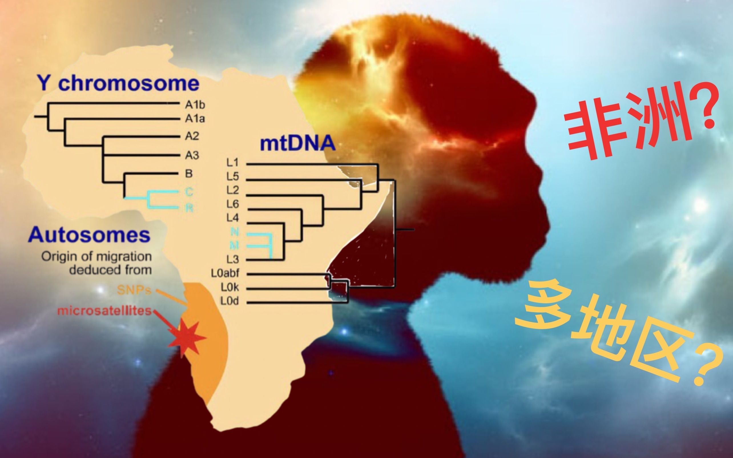 人类是非洲起源还是多地区起源?他们到底在争什么?哔哩哔哩bilibili