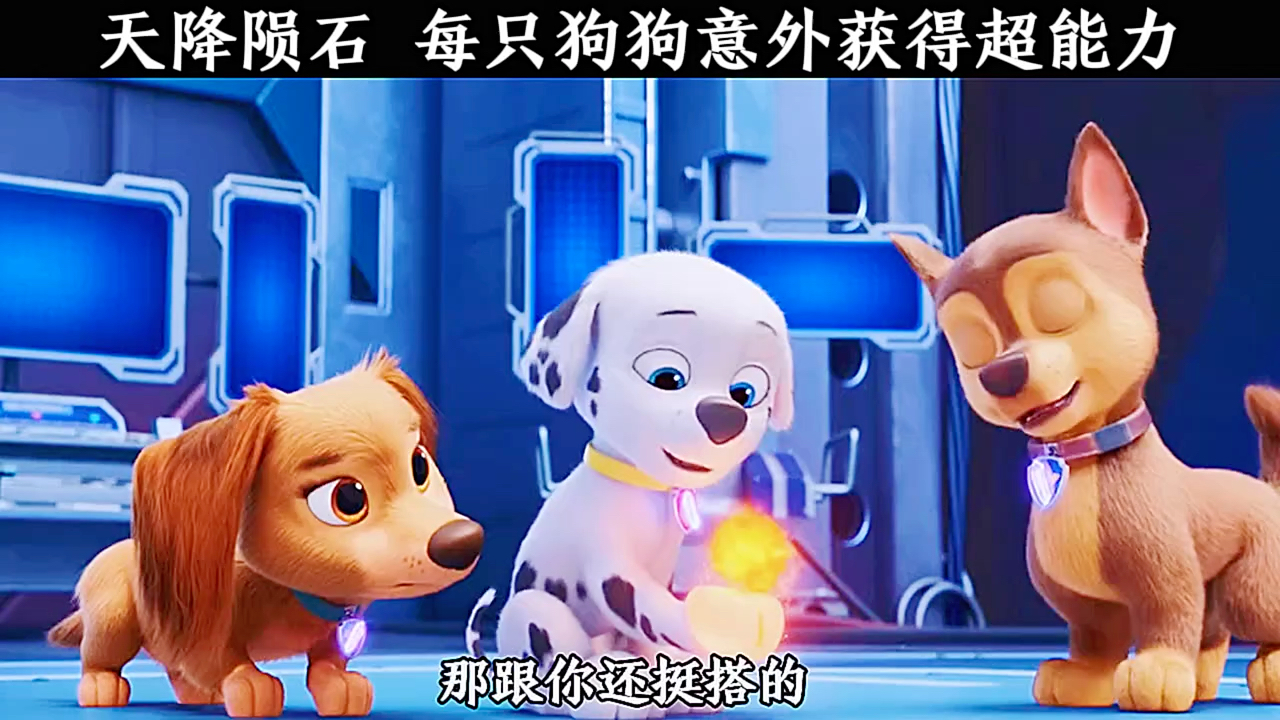 汪汪队立大功之超能救援 天降陨石 每只狗狗意外获得超能力