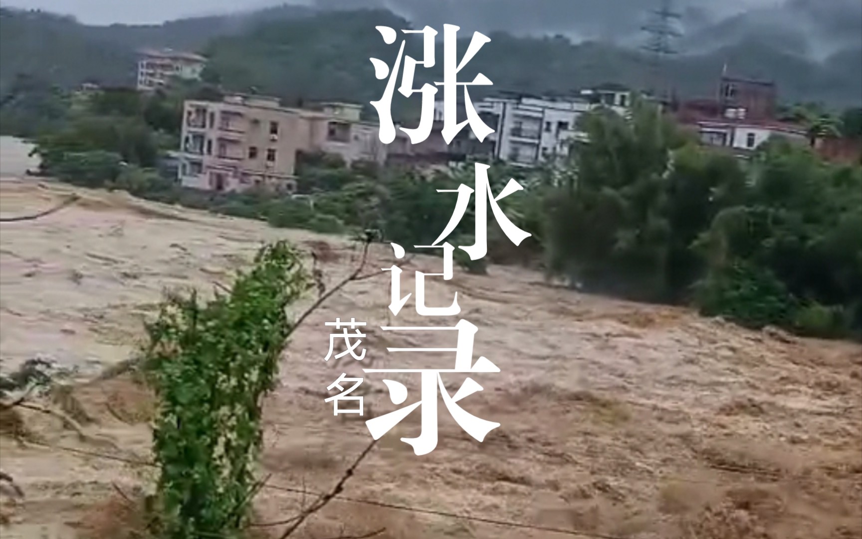 茂名大雨之后哔哩哔哩bilibili