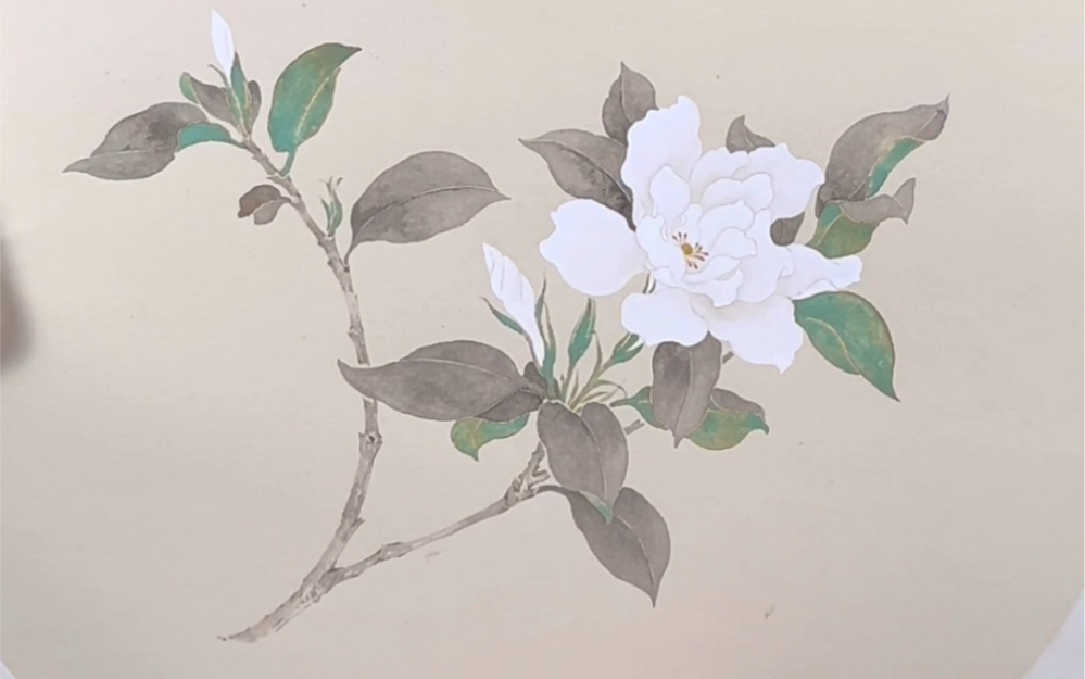 国画/栀子花没骨/零基础入门