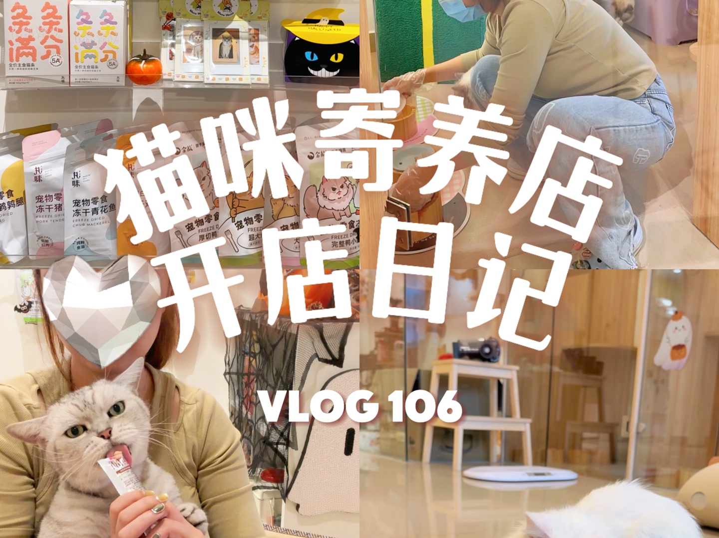 Vlog 106 独自在猫咪寄养店上班的一天#猫咪日记 #猫咪配餐 #开店日记 #喂猫日记 #新手养猫哔哩哔哩bilibili