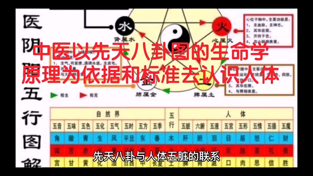 [图]中医以先天八卦图的生命学原理为依据和标准去认识人体