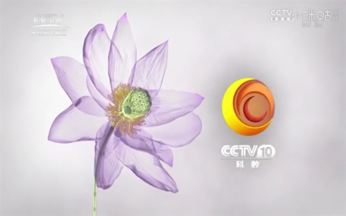 CCTV10科教频道ID:莲花篇20132019(CCTV央视文化精品频道版本)哔哩哔哩bilibili