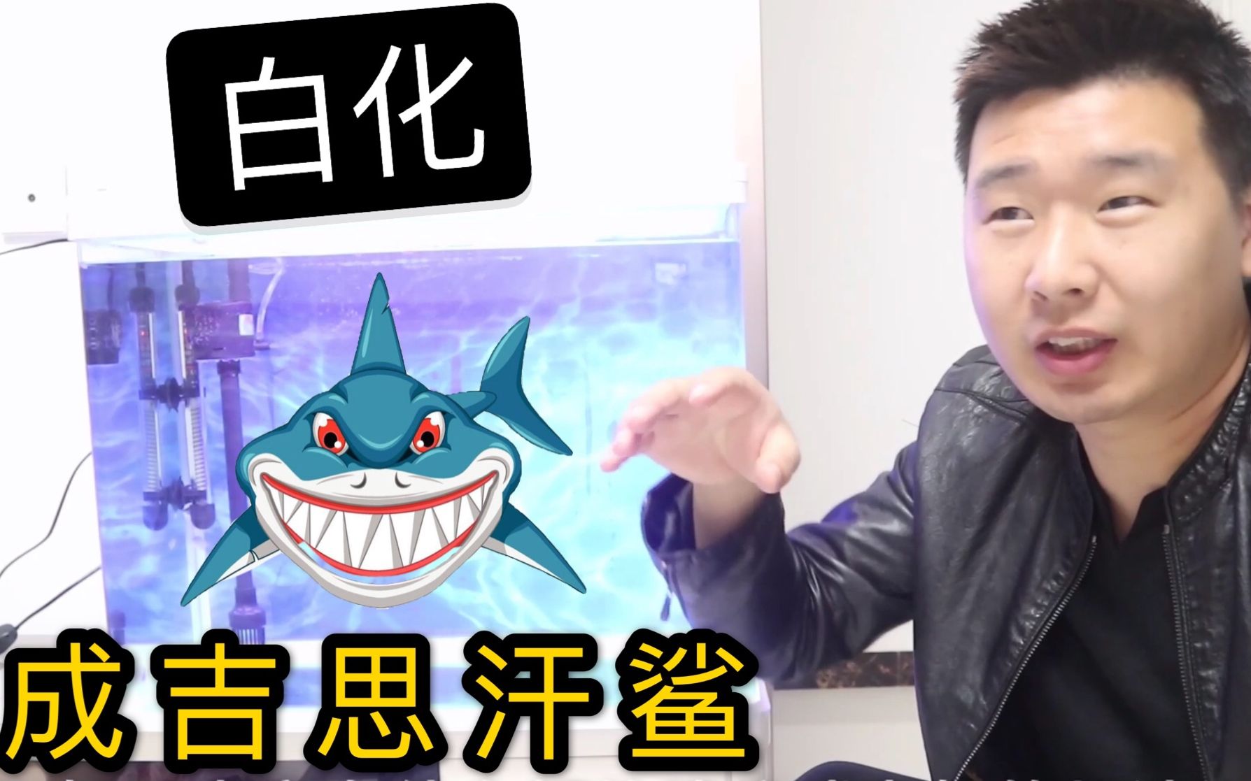 白化鲨开箱买了一条红眼睛的变异成吉思汗鲨这鲨鱼咬人吗