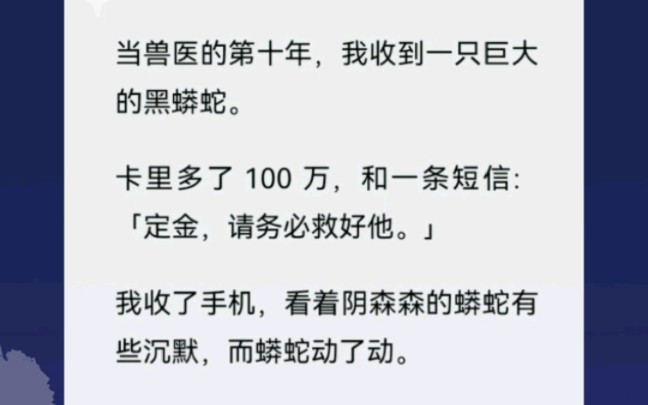 做兽医的第十年,卡里多了100万和一条短信:请务必救好他哔哩哔哩bilibili