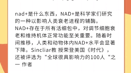 nad+是什么东西,nad+是什么?说说看哔哩哔哩bilibili