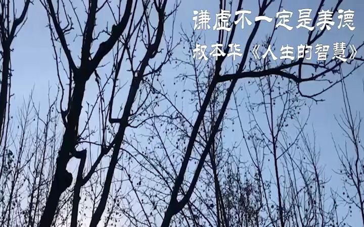 叔本华《人生的智慧》第四章 如何看待别人的评价/谦虚不一定是美德哔哩哔哩bilibili