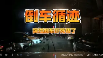 Download Video: 小艺倒车循迹，突然刹车，吓死我了！