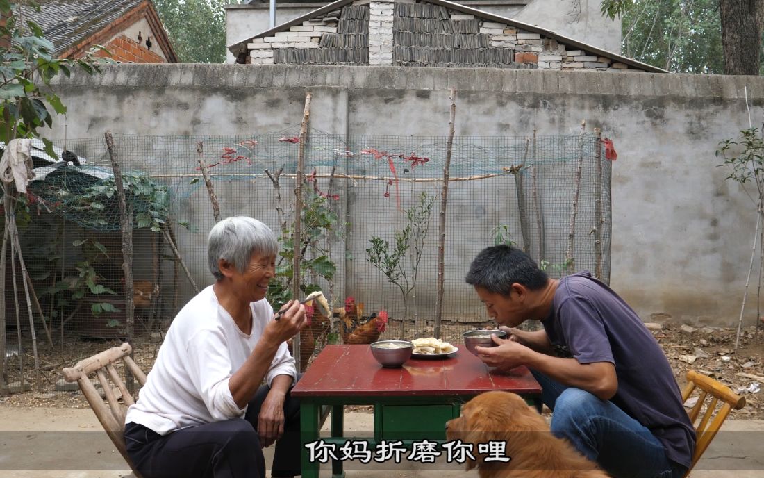 河南芝麻叶豆腐汤,农村妈妈一炒一煮,比羊肉汤还好喝哔哩哔哩bilibili