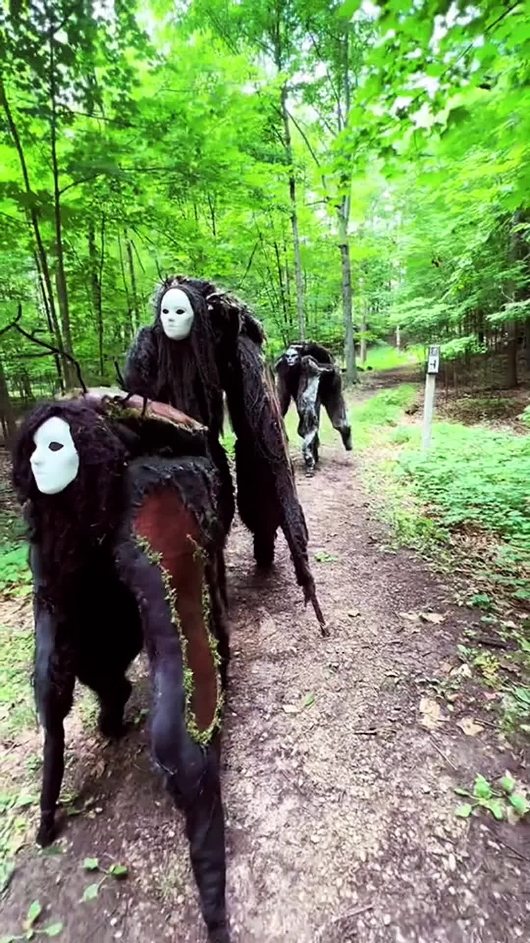 如果你们在森林里看到了这些诡异的生物,你们会不会害怕呢