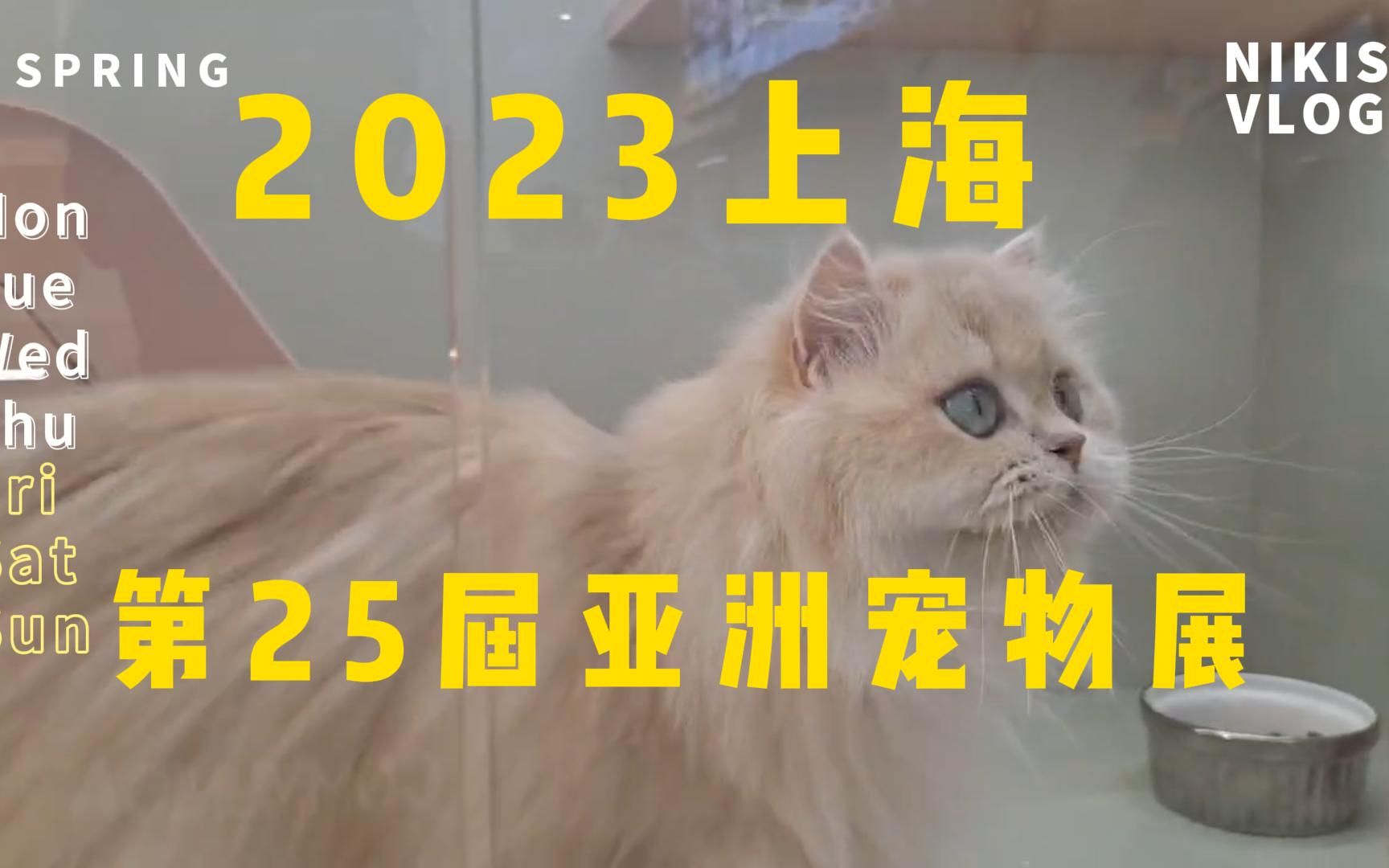 2023上海25届亚洲宠物展 一起来看小可爱们哔哩哔哩bilibili