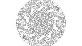 根据蝴蝶和鲜花绘制成的缠绕画 我只能说我学不会 哔哩哔哩 つロ干杯 Bilibili 根据蝴蝶和鲜花绘制成的缠绕画 我只能说我学不会 哔哩哔哩 つロ干杯 Bilibili