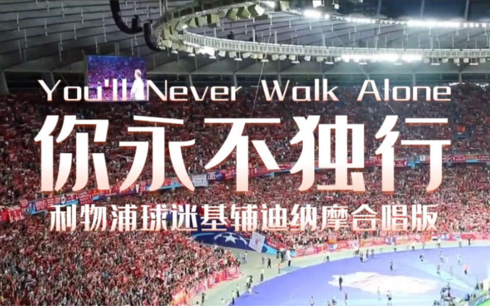 [图]看球听歌：“你永不独行”（YNWA）之基辅迪纳摩合唱版