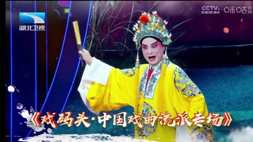 湖北卫视广告20240516