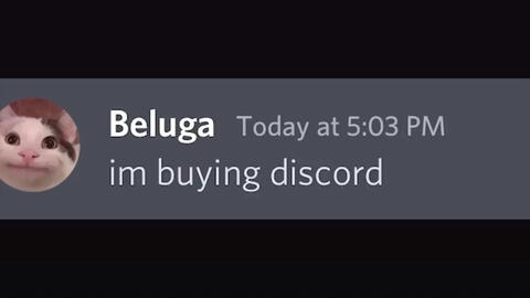 If Beluga owned Discord 