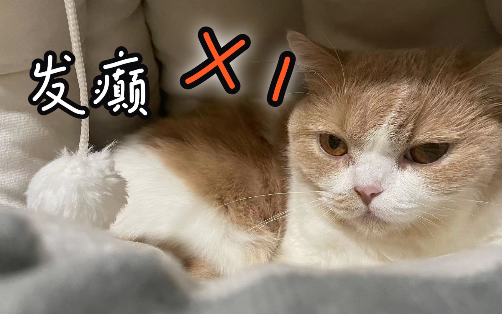 发癫x1(first love)没错这是被雪藏的发癫x1