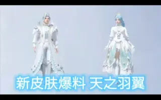 天羽翼 搜索结果 哔哩哔哩 Bilibili