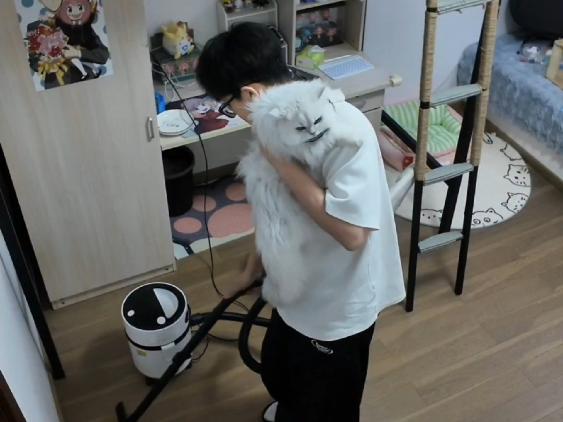 自己住可以懒一点 但是和小猫咪一起住不行