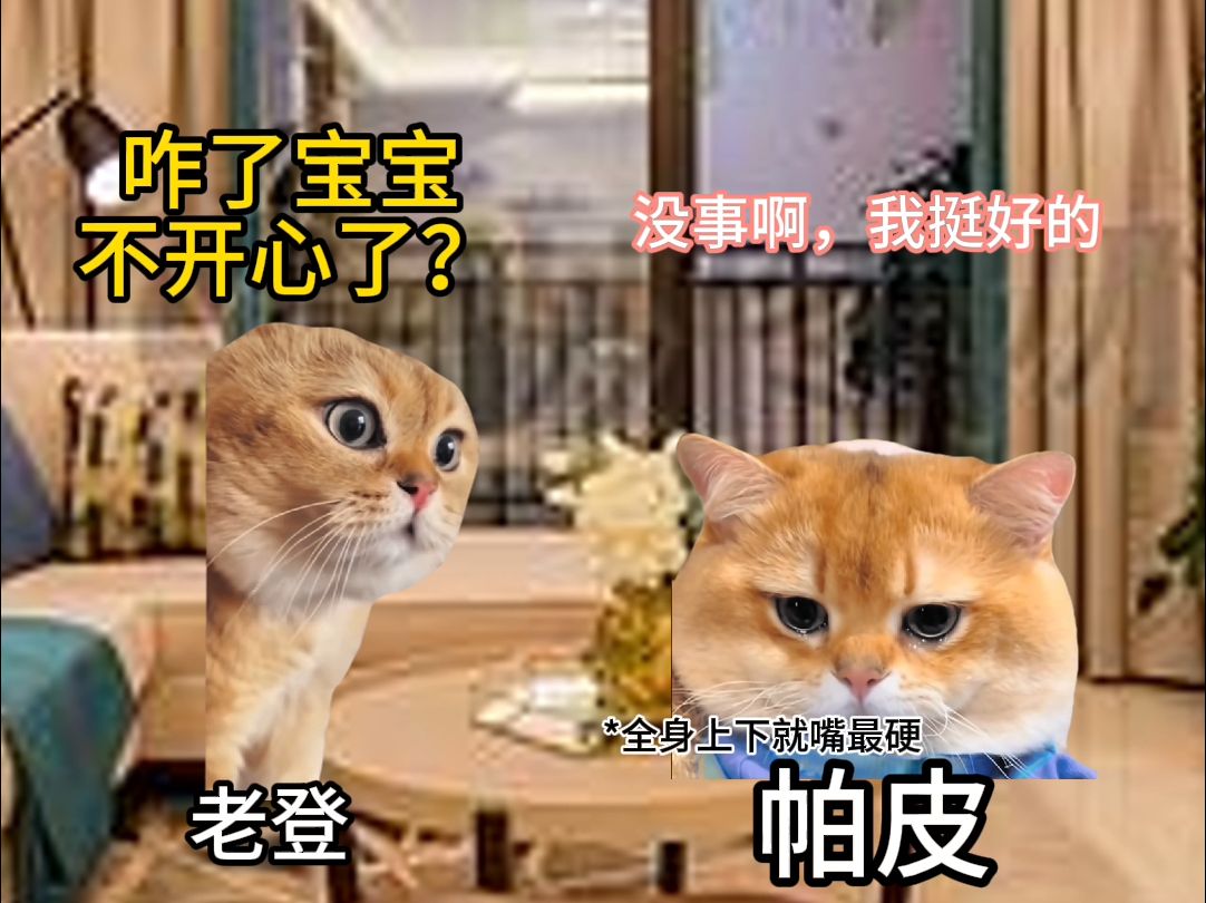 猫meme|当帕皮被老登教训完,主打一个我很好、我没事哔哩哔哩bilibili