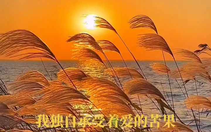 [图]安静《独自买醉》夕日的阳，巢归的鸟，买醉的曲，忧伤的情，欲哭的泪