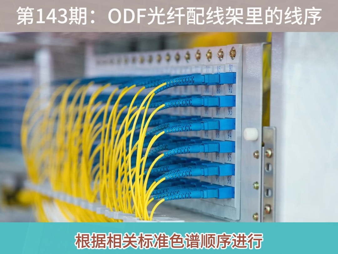 第143期:odf光纤配线架的线序