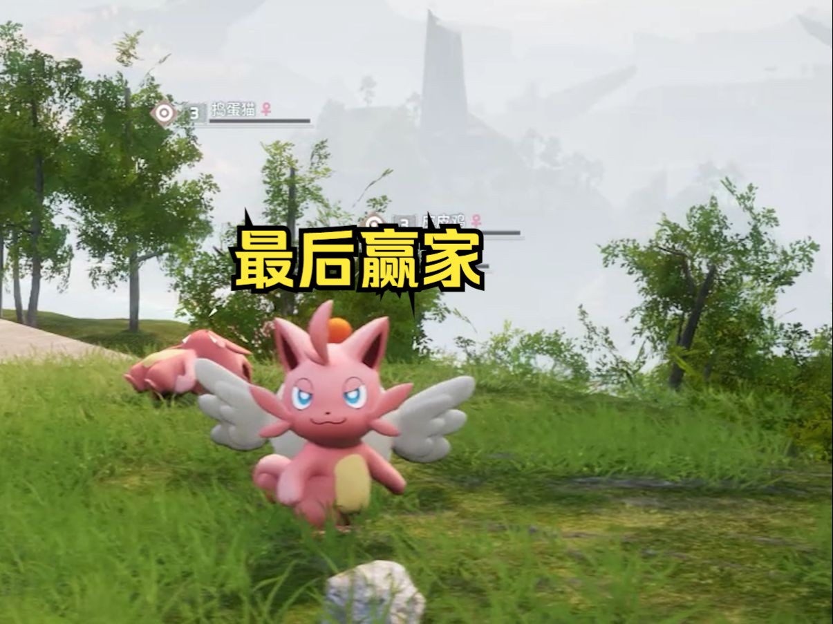 捣蛋猫:最后赢家还是我!