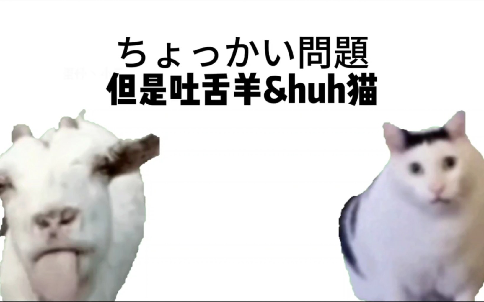 ちょっかい問題,但是吐舌羊&huh猫