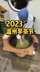 2023温州早茶节哔哩哔哩bilibili