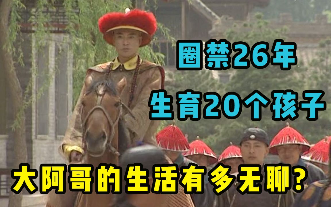 圈禁26年,生了20个孩子,大阿哥胤禔的圈禁生活究竟有多无聊哔哩哔哩bilibili