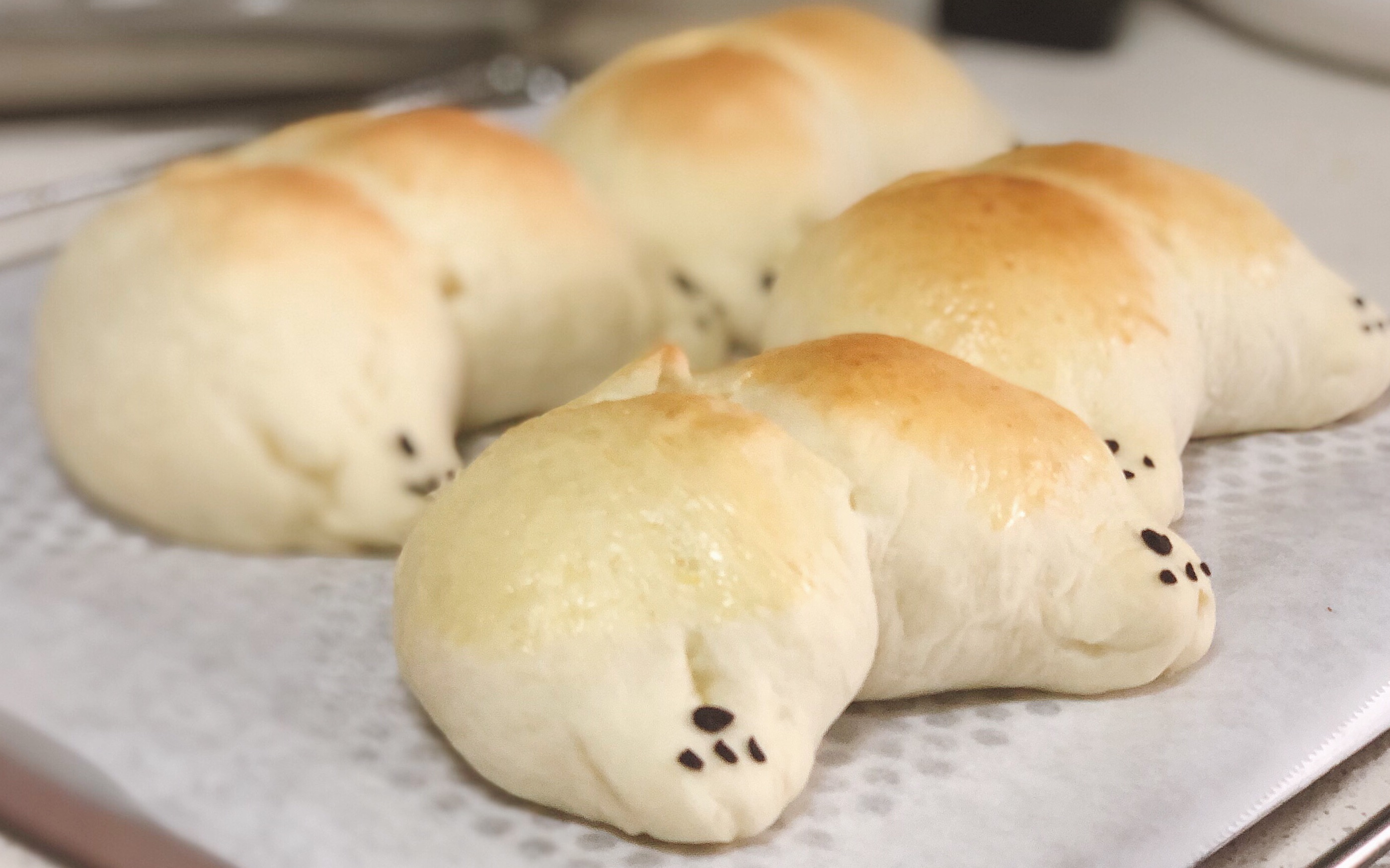 【超详细教程】新手也可以做的手揉柯基屁屁面包～(1711ω11