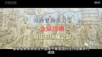 蔡国的纵横之路